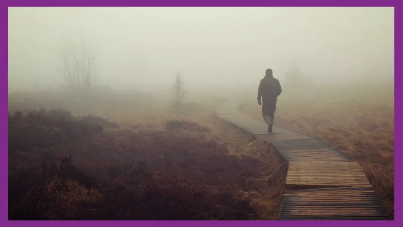 A person walking away in the fog.